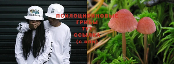 мяу мяу кристалл Надым