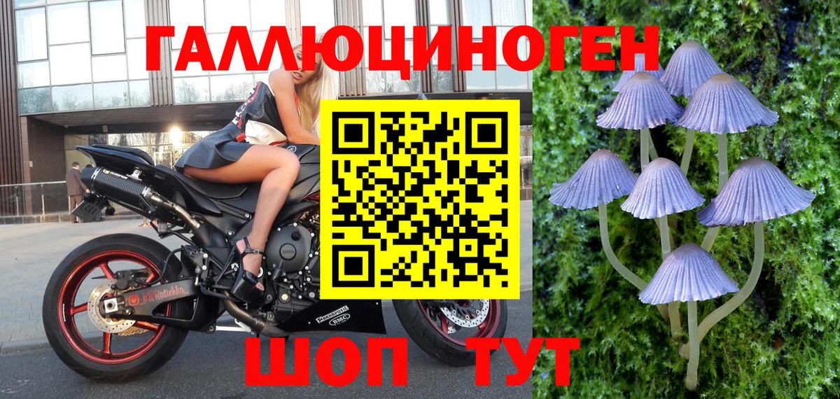 Галлюциногенные грибы ЛСД Лениногорск